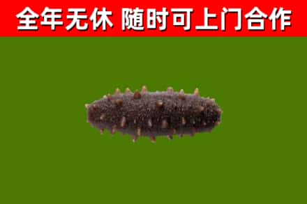 上高县烟酒回收干海参.jpg